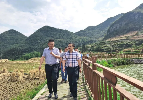 畢節(jié)工業(yè)職業(yè)技術(shù)學(xué)院黨委書記李涌、院長邱國援率隊到鄉(xiāng)村振興駐村聯(lián)系工作點調(diào)研